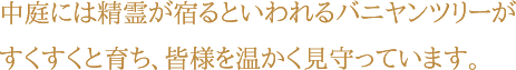 中庭には精霊が宿るといわれるバニヤンツリーがすくすくと育ち、皆様を温かく見守っています。